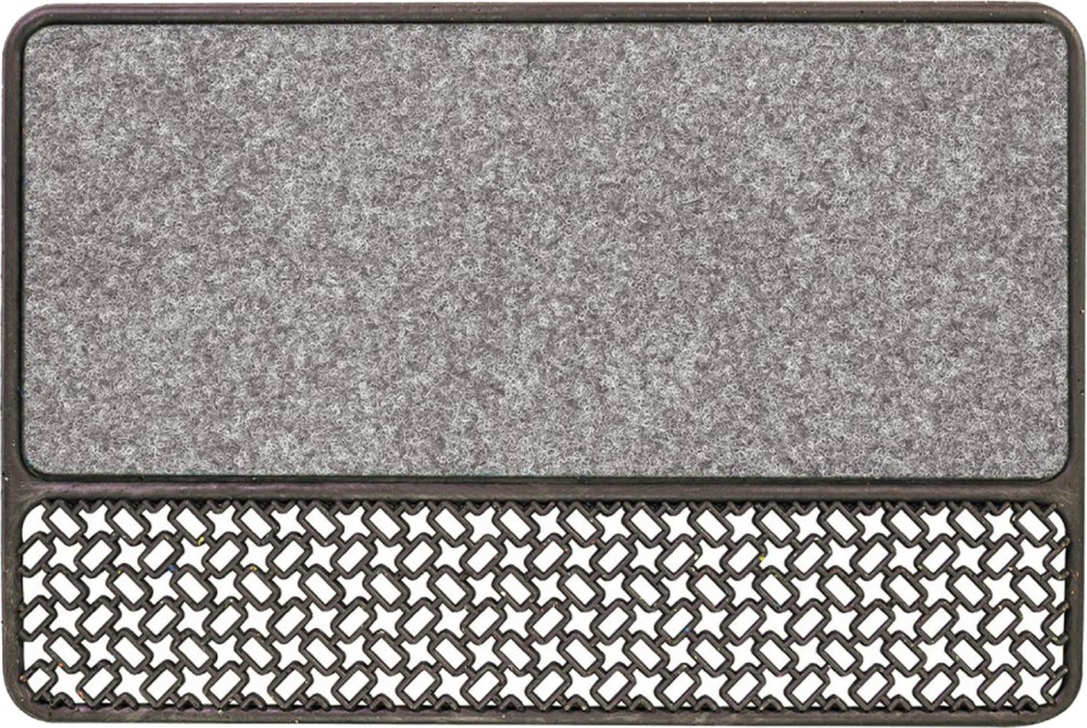     Olivo Astro - 60 x 40 cm - 