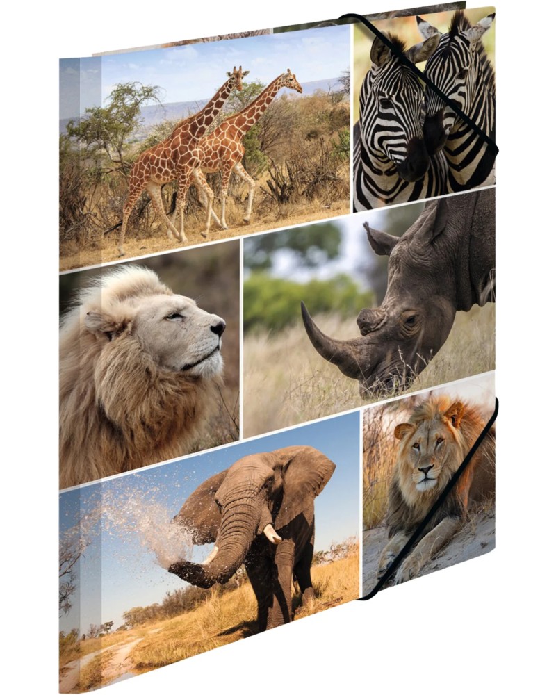    HERMA -   -   A4   Animals - 