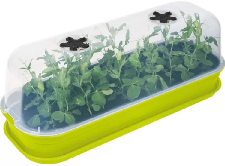 Детска оранжерия - Зелената къща Детска оранжерия - Зелената къща -