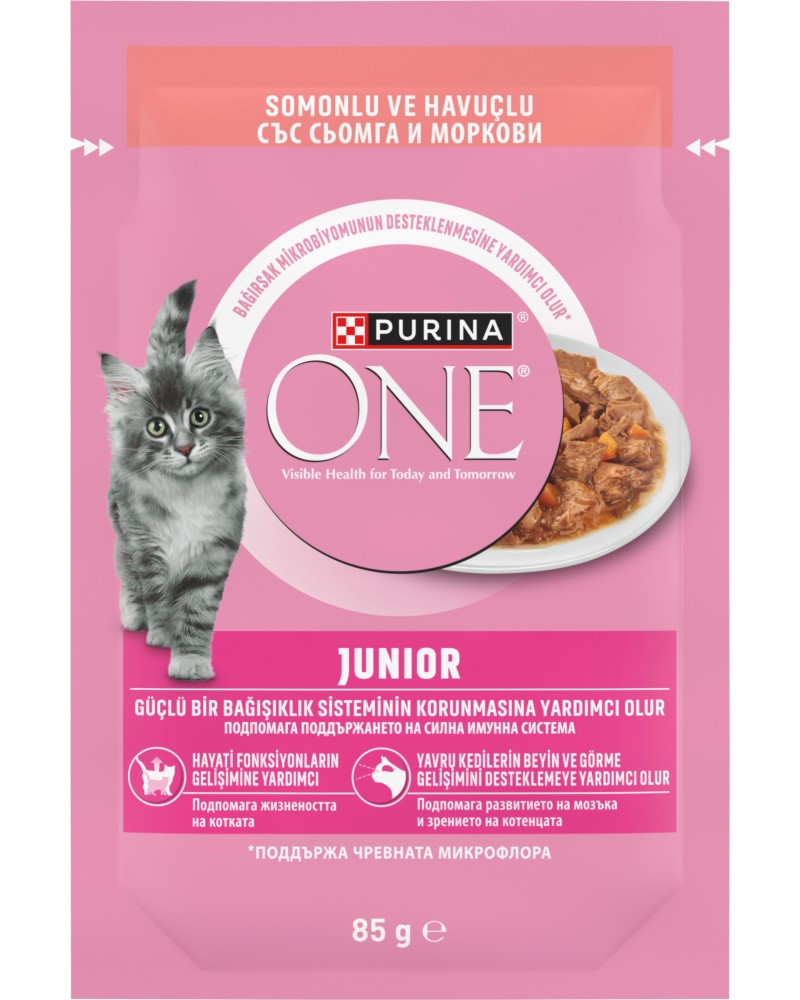 ���� �� ����� Purina ONE Junior - 85 g, ��� ������ � ������� � ���, �� 1 �� 12 ������ - �����