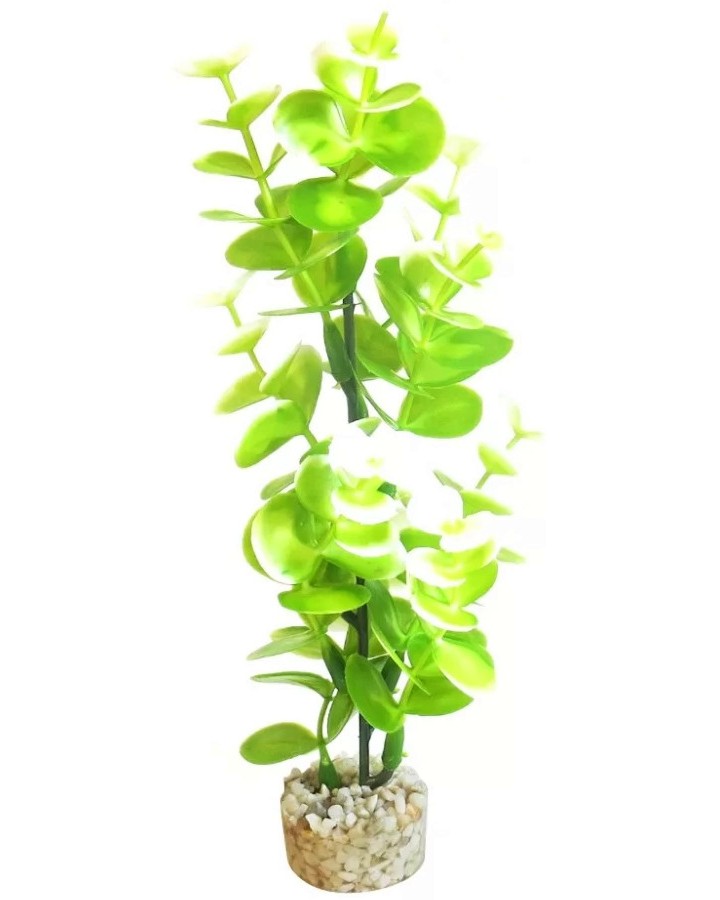 ���������� �������� �� �������� SYDECO BIO Aqua Eucalyptus - �������