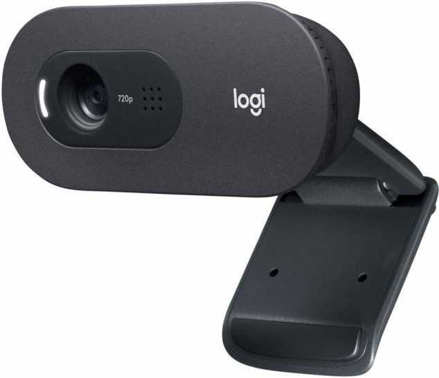 Уеб камера с микрофон Logitech C505E HD - USB 2.0 - 