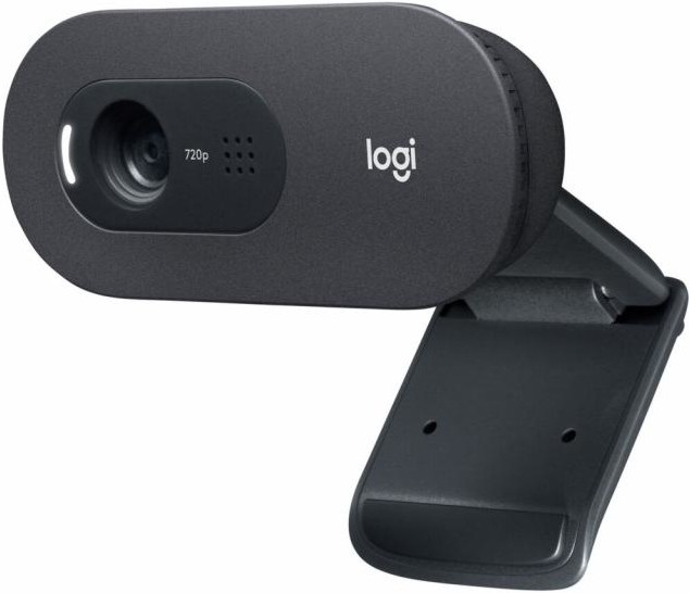     Logitech C505E HD - USB 2.0 - 