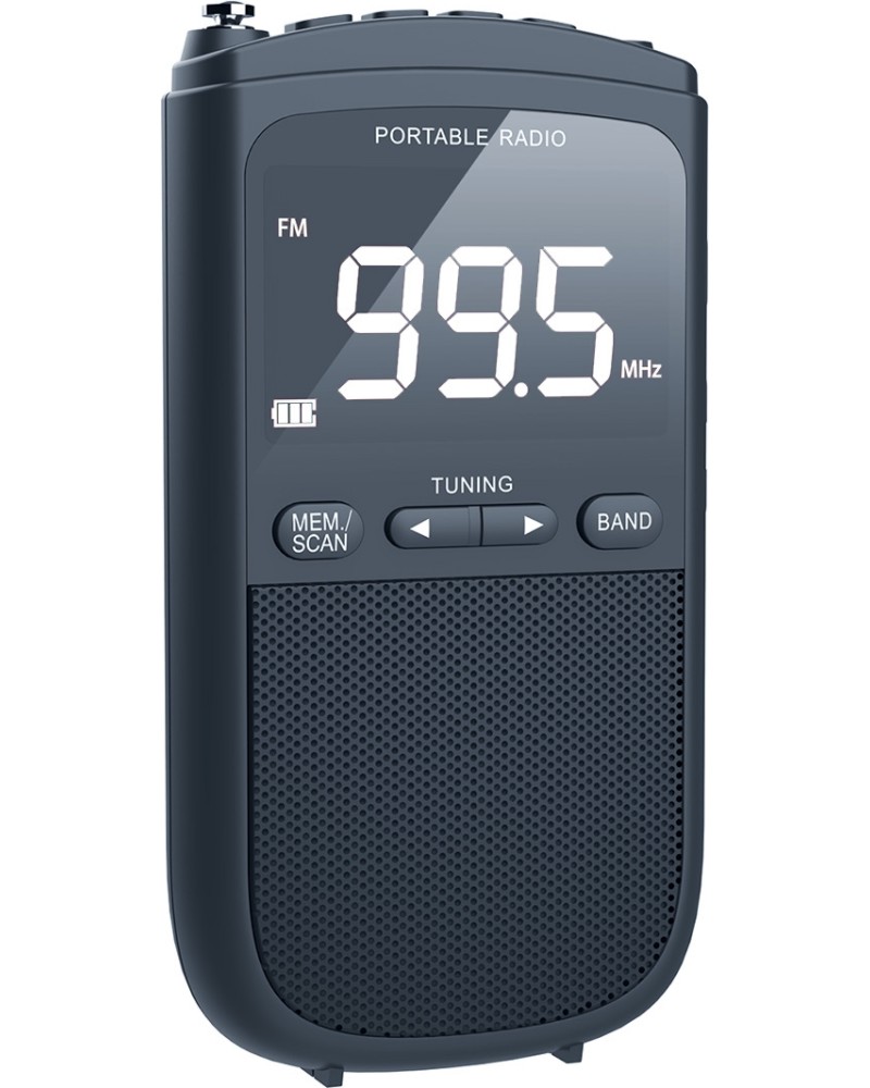 ���������� AM / FM ����� Diva FM2024C - � ����� � USB ����� �� ��������� - 