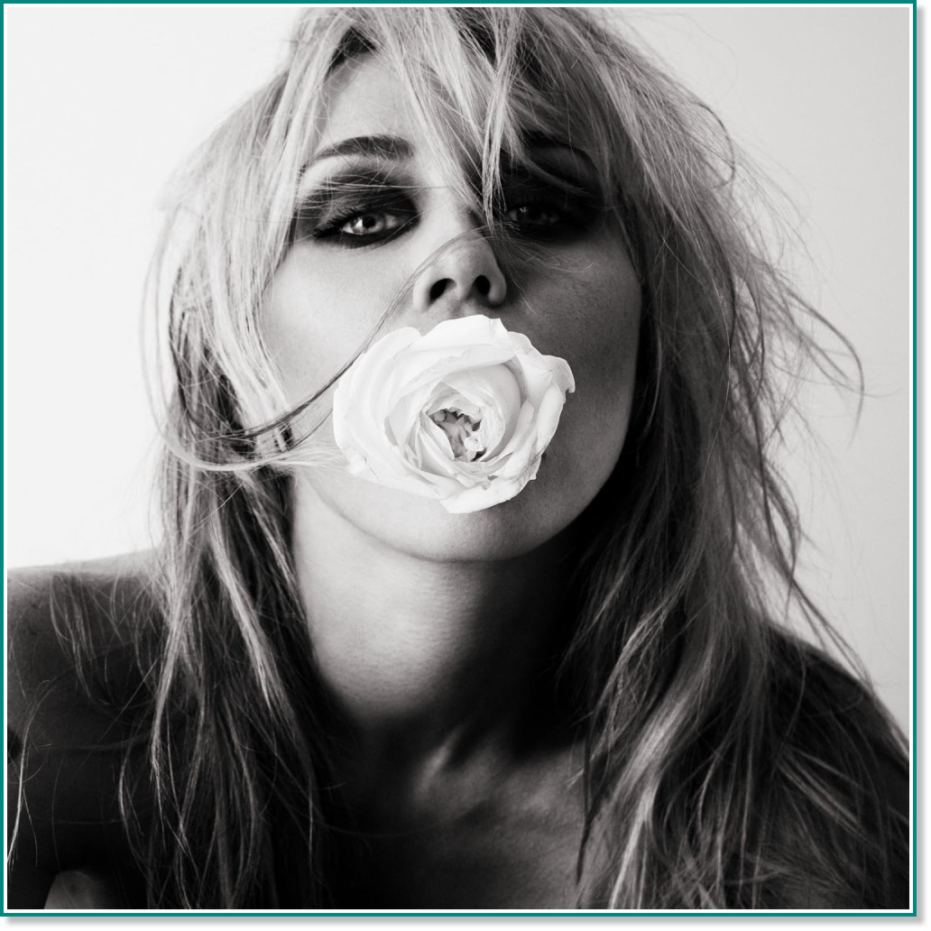 Miley Miley - Bass Persuades - албум