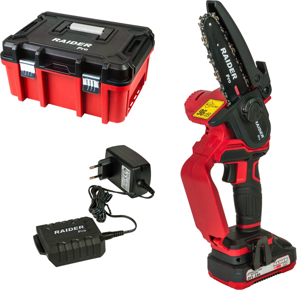 ������������ ���� ������� 20V Raider RDP-YGP20 - � �������, ������� � ����� �� ������� Pro - 