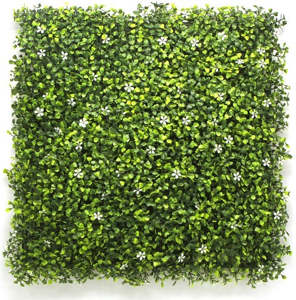     My Garden Boxwood with Jasmine CCGA002 - 50 x 50 cm - 