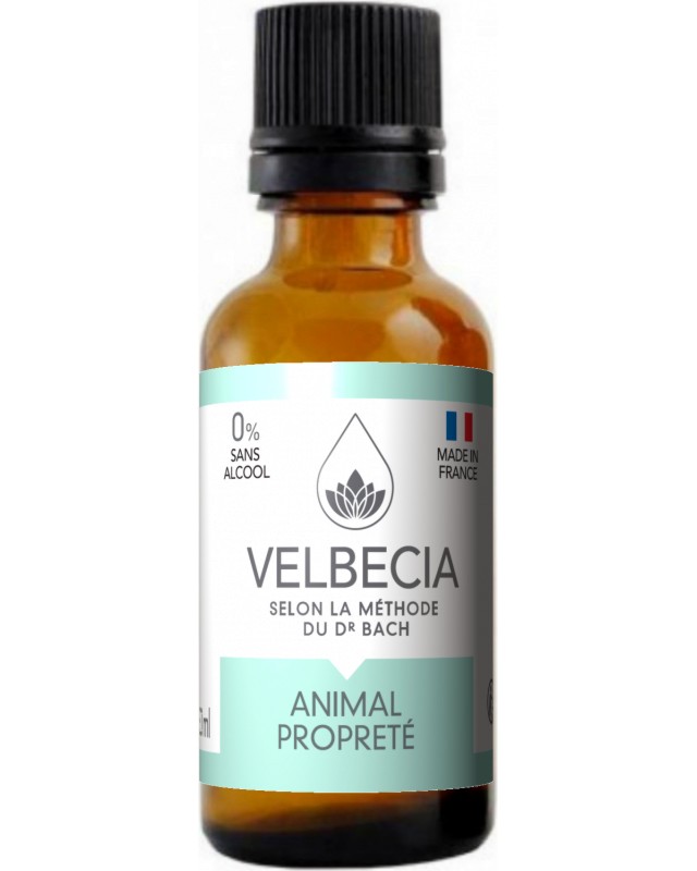            Velbecia Bach Flowers - 30 ml - 