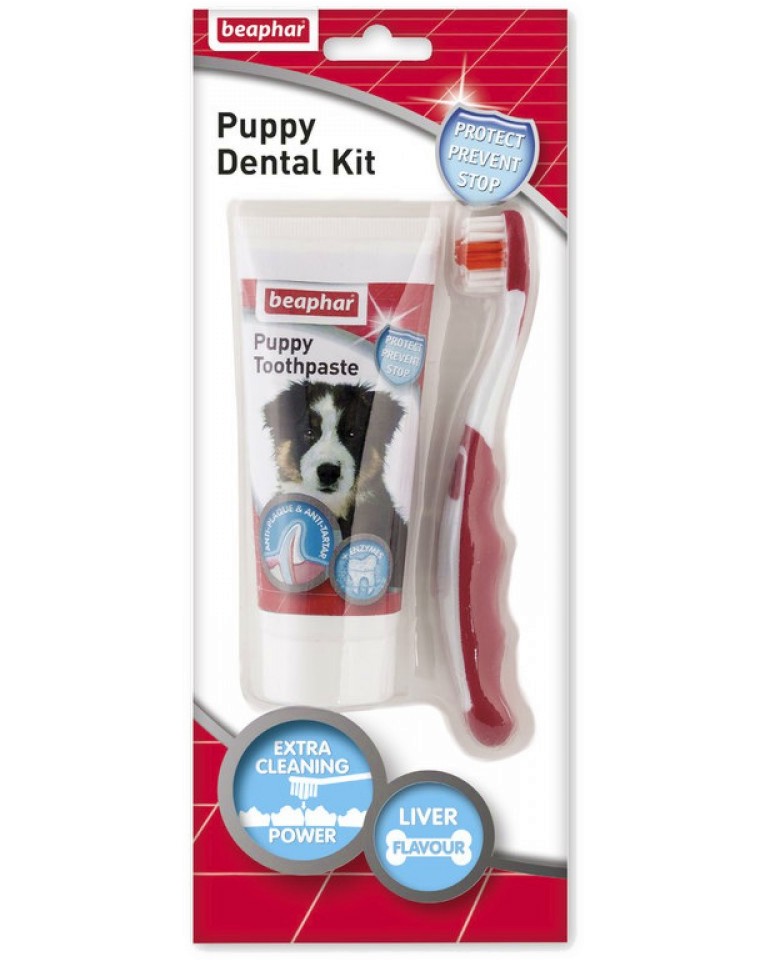      Beaphar Puppy Dental Kit - 100 g,    ,    -   