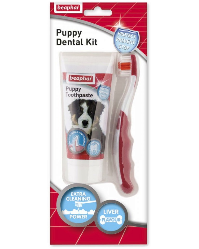 Паста за зъби за кучета Beaphar Puppy Dental Kit Паста за зъби за кучета Beaphar Puppy Dental Kit - 100 g, с четка за зъби, за подрастващи кучета - паста за зъби