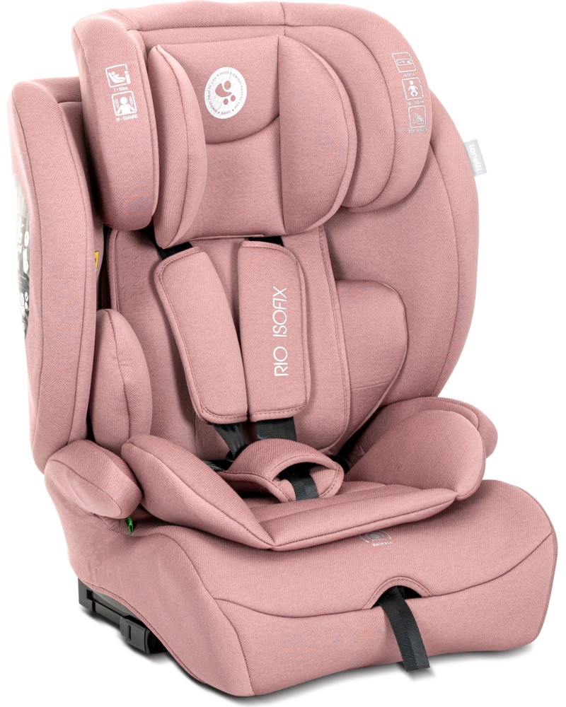     Lorelli Rio 2025 -  Isofix ,  76  150 cm -   