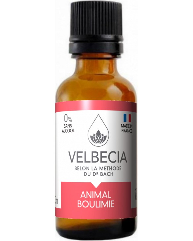         Velbecia Bach Flowers - 30 ml - 