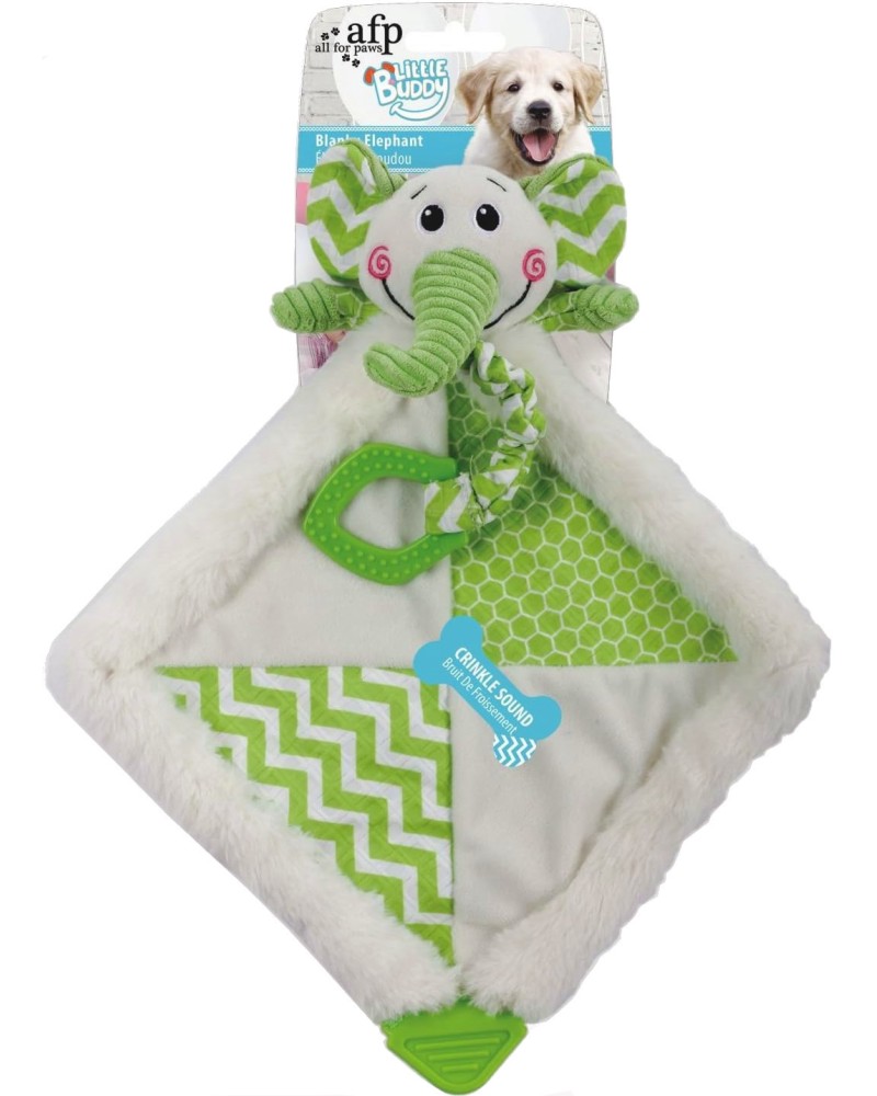     AFP -   ,   Little Buddy - 