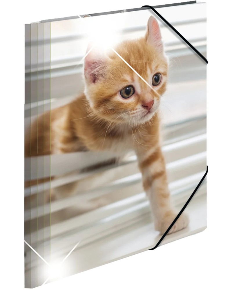����� � ������ HERMA - ����� - �� ������ A4 �� ������� Animals - 