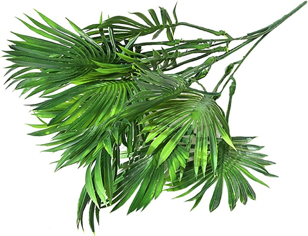   Palm Leaves Mix -  - 34 cm - 