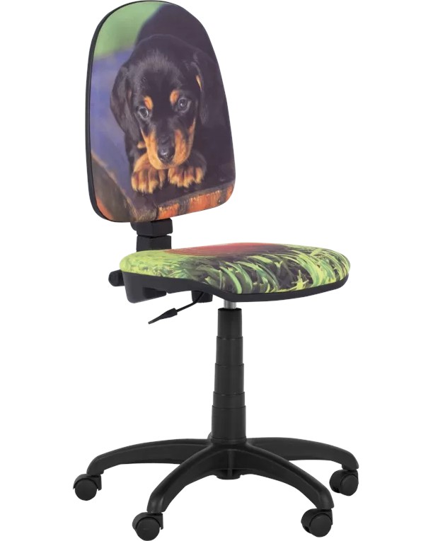 ������ ���� �� ���� Carmen Prestige - ���� - ����