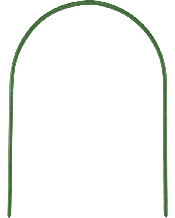     Bradas -   54 - 70 cm - 