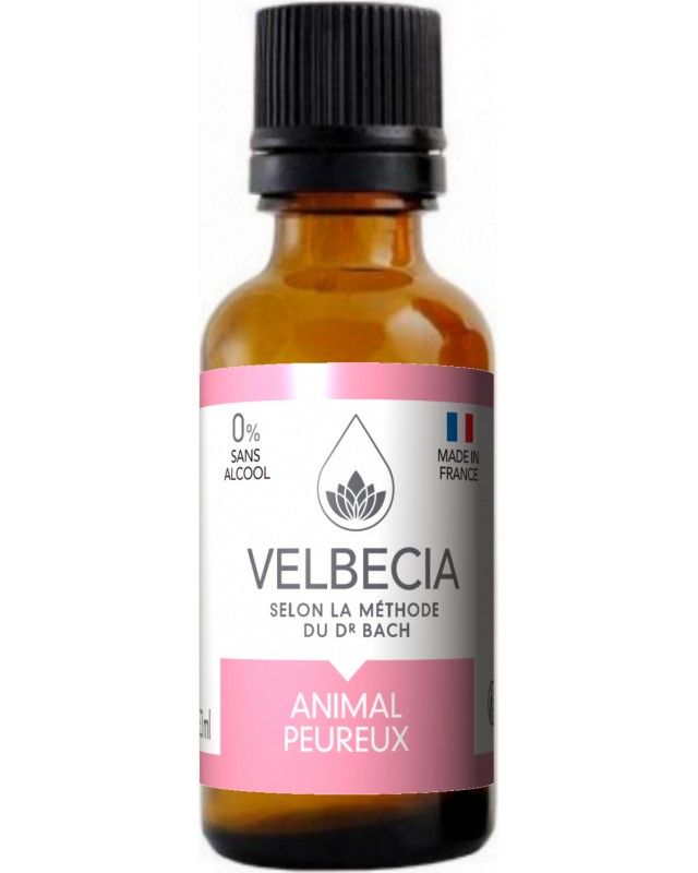         Velbecia Bach Flowers - 30 ml - 