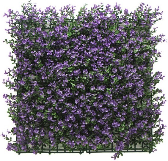     My Garden Buxus CCGA011 - 50 x 50 cm - 