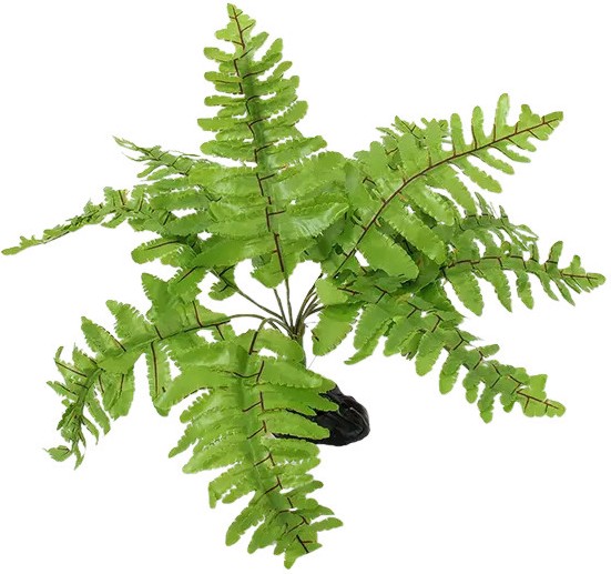 Изкуствено растение за терариум REPTI PLANET Nephrolepis Изкуствено растение за терариум REPTI PLANET Nephrolepis - 20 cm - продукт