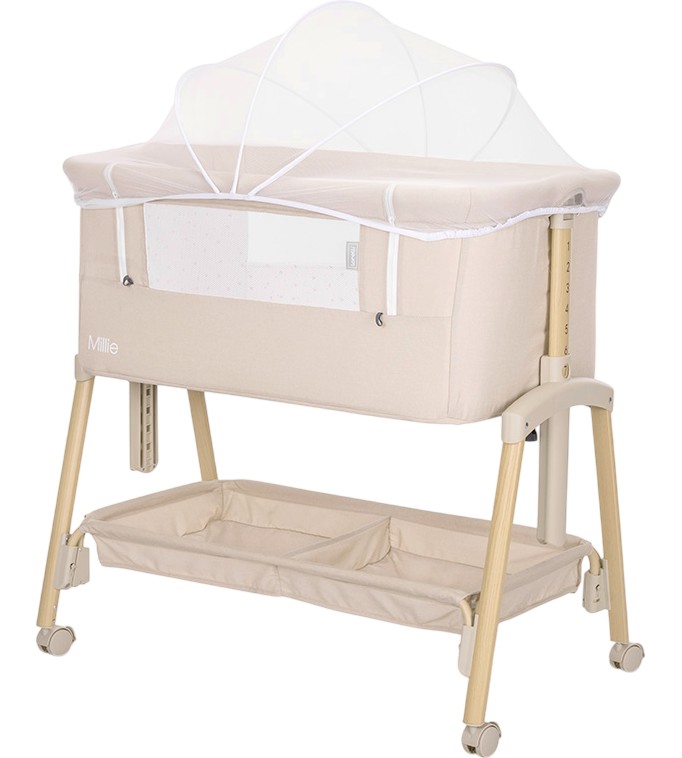    Lorelli Millie -     - 
