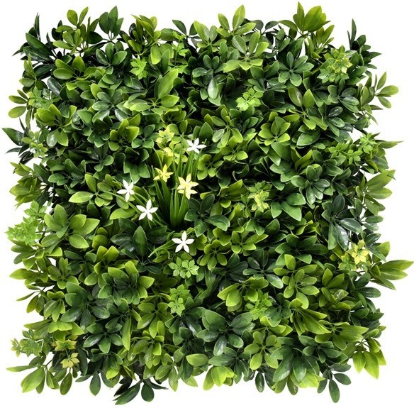     My Garden Daffodil Dream CCGF007F - 50 x 50 cm - 