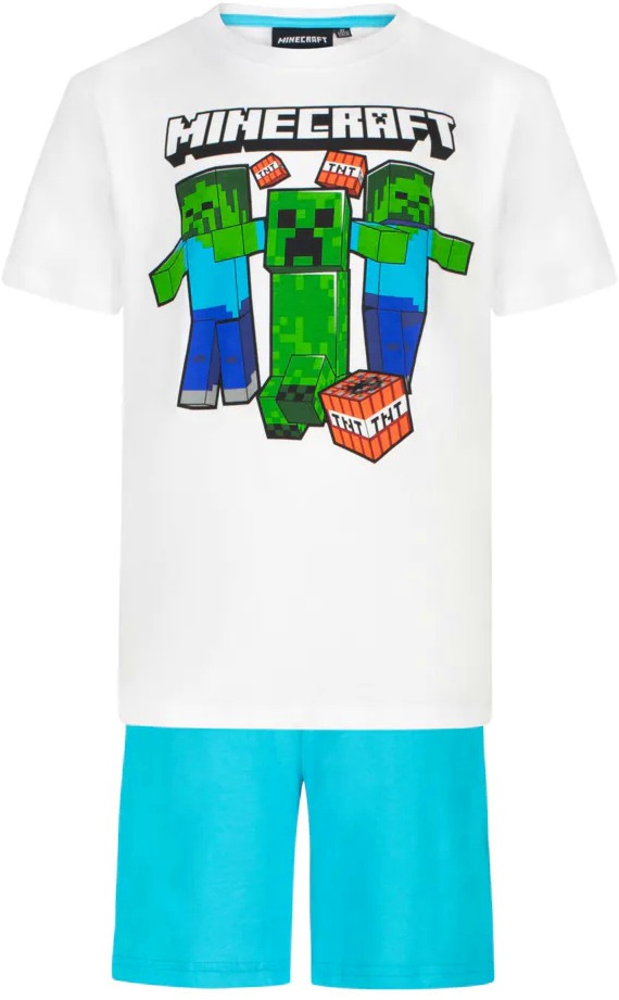   -   Minecraft - 