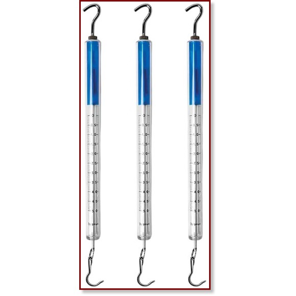 �������� - 3 ����, 1 N, 5 N � 10 N - 