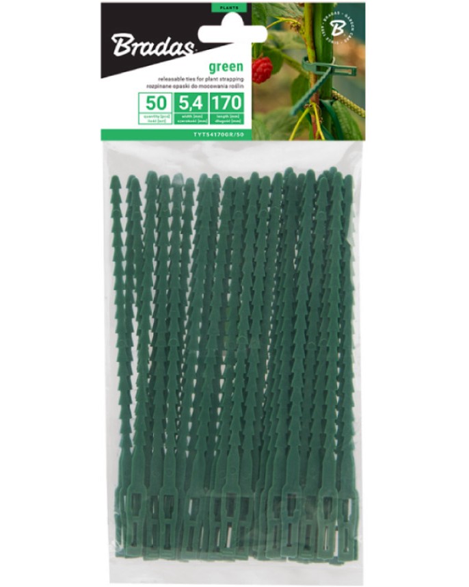      Bradas - 50    17 cm - 