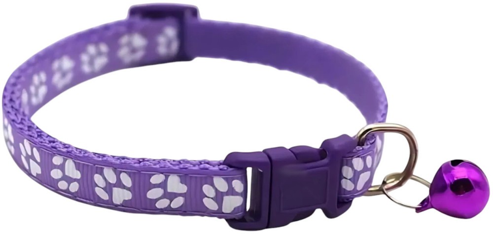       MINA PET Junior -   - 