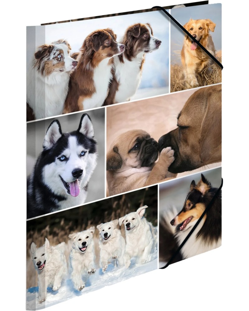 Папка с ластик HERMA - Кучета Папка с ластик HERMA - Кучета - За формат A4 от серията Animals -