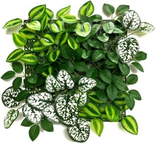     My Garden Wandering Jew Mix CCGA338 - 33 x 33 cm - 