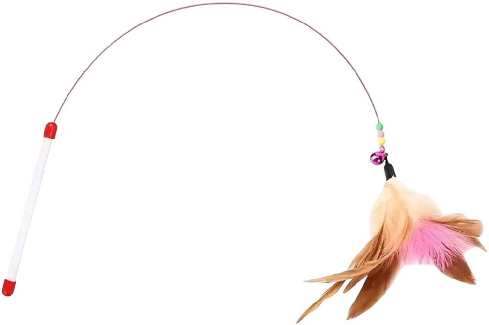      MINA PET -    - 