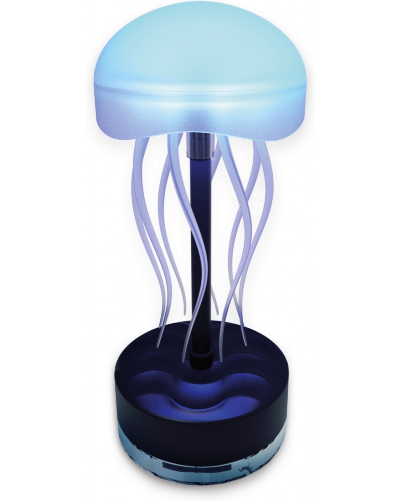 ������ ����� ������ - Buki France - 