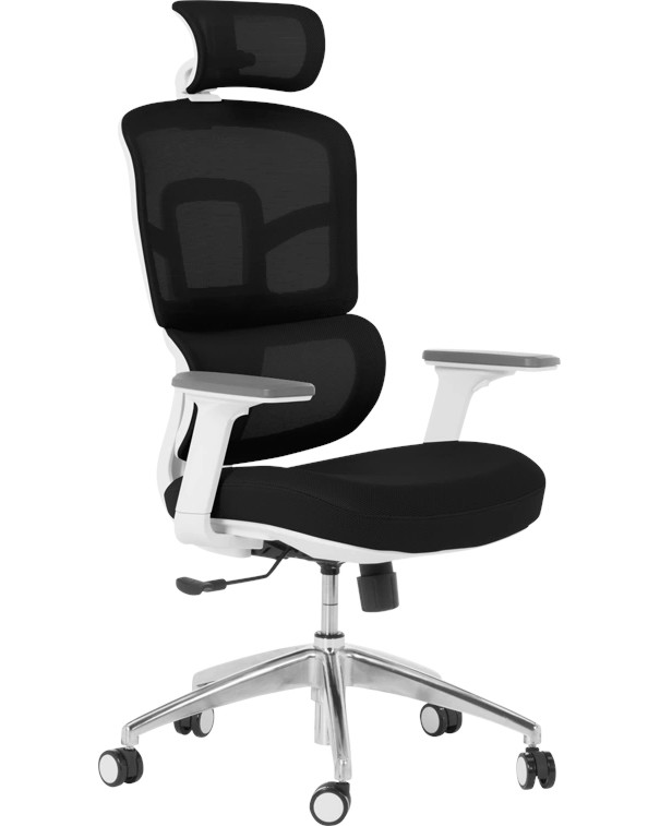 ����������� ���� ���� Carmen 7579 - ����