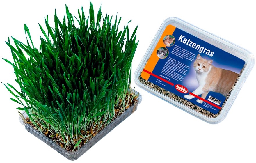    Nobby - 100 g - 