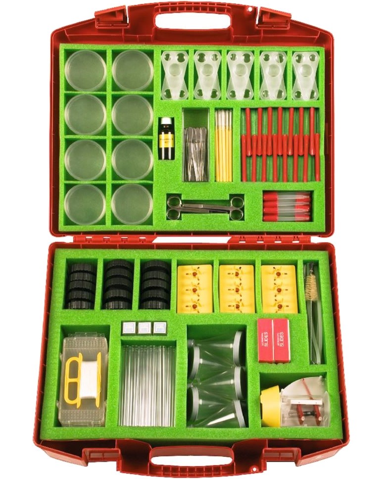  STEM   - Cornelsen Experimenta -  