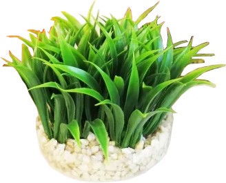 Изкуствено растение за аквариум SYDECO Aqua Deluxe Grass Изкуствено растение за аквариум SYDECO Aqua Deluxe Grass - продукт