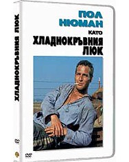 ������������� ��� - ����