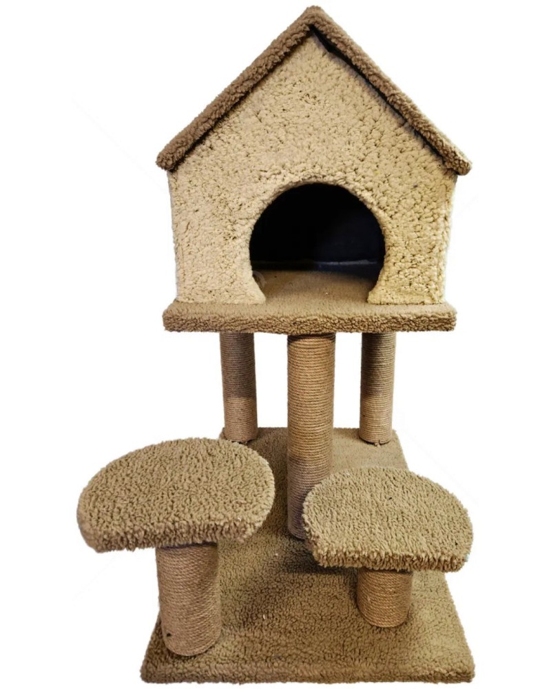    MINA PET -  ,    - 