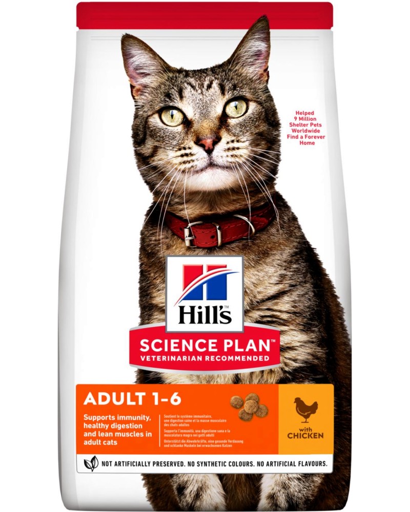 ���� ����� �� ����� Hill's Adult - 0.3 ÷ 15 kg, � �������, �� ������� Science Plan, �� 1 �� 6 ������ - �����