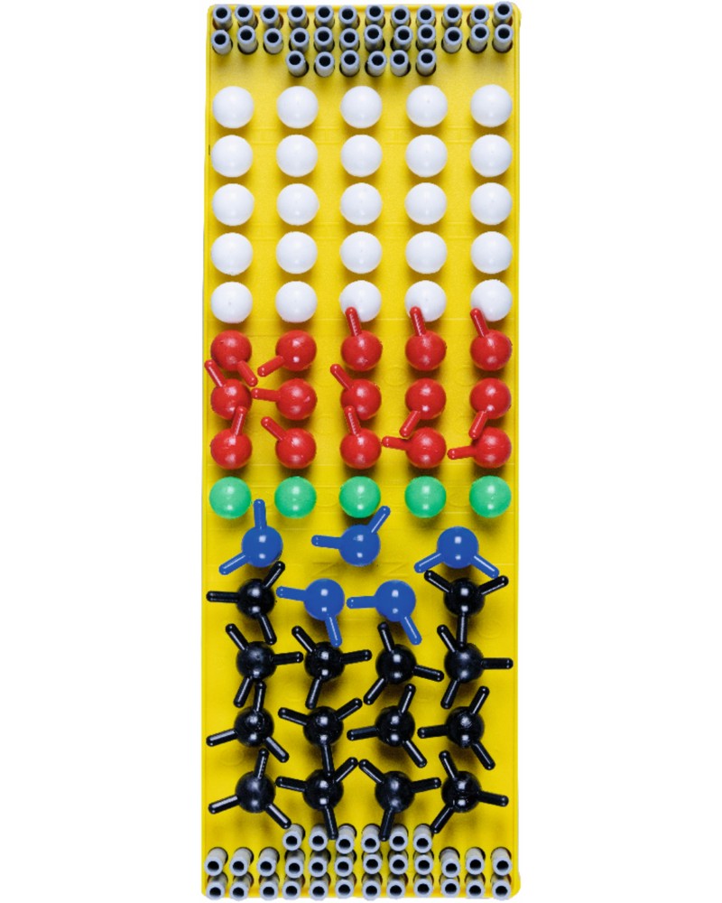     - Cornelsen Experimenta -    30  -  