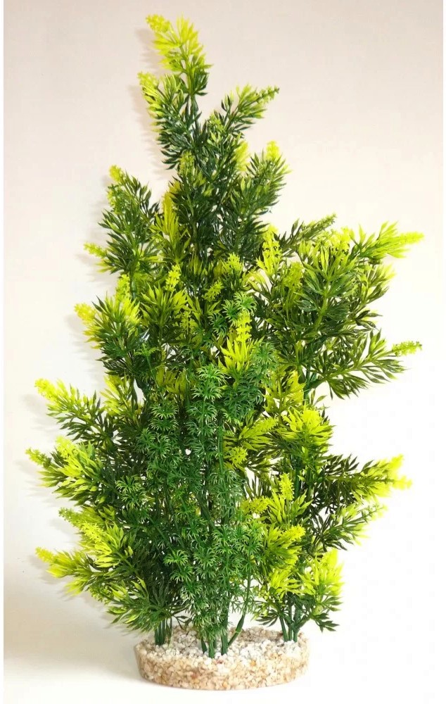     SYDECO Aquaplant Giant - 