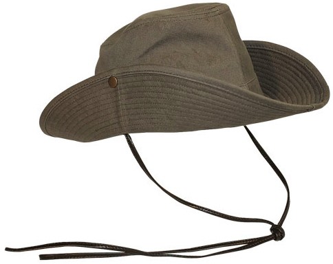 ����� � ��������� - Safari - 