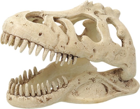 Декорация за терариум T-Rex череп - REPTI PLANET Декорация за терариум T-Rex череп - REPTI PLANET - 13.3 / 8.5 / 9 cm - продукт