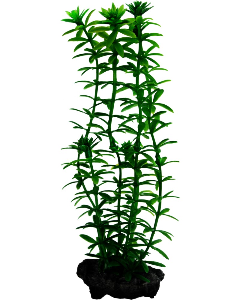 ���������� �������� �� �������� Tetra Anacharis - 23 � 30 cm - �������