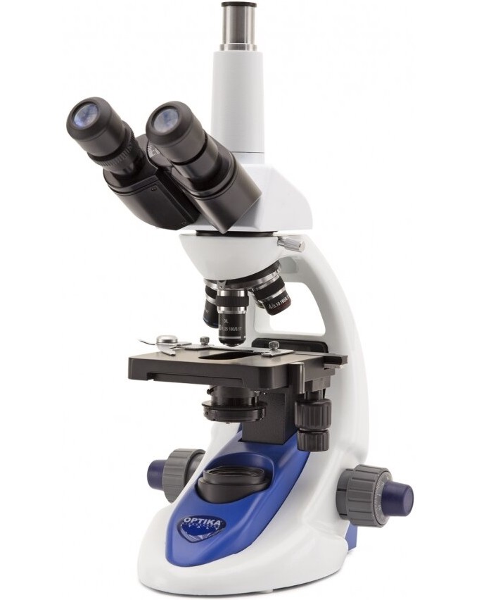 ������������ ��������� OPTIKA B-193PL - � ���������� 1000x - 