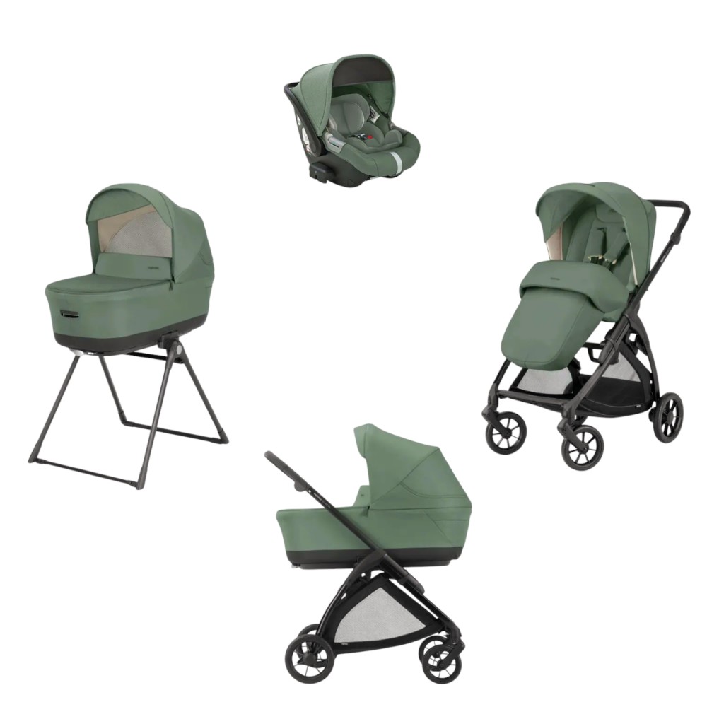   4  1 Inglesina System Quattro Electa Darwin Infant -   ,   ,   ,        - 