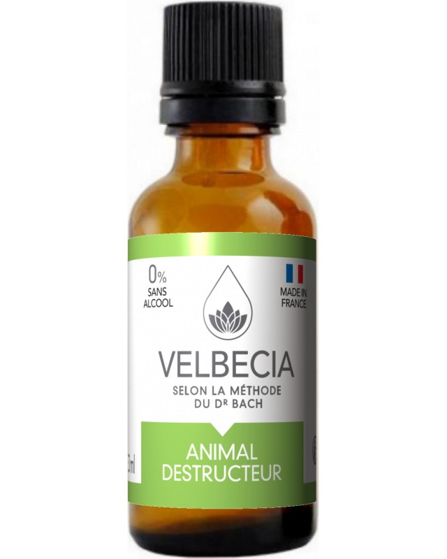          Velbecia Bach Flowers - 30 ml - 