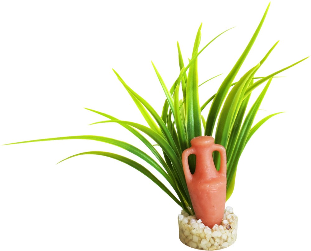     SYDECO Amphora Pm - 